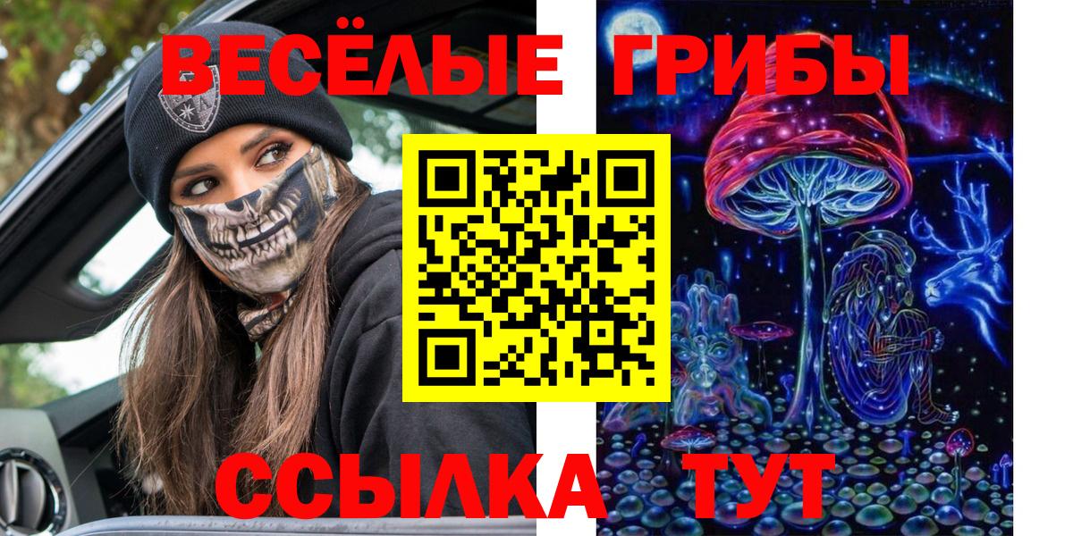 Уварово  Псилоцибиновые грибы Cubensis  Вход с VPN 
