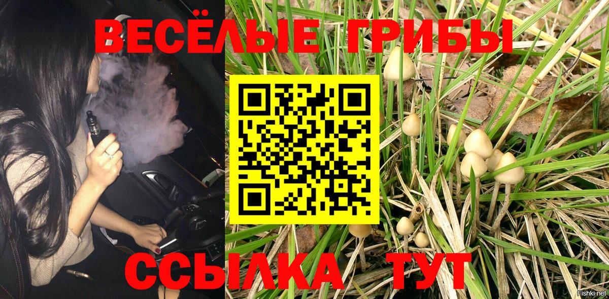 Галлюциногенные грибы прущие грибы Уварово